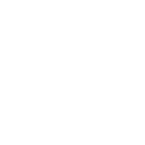 Audi Service Logo