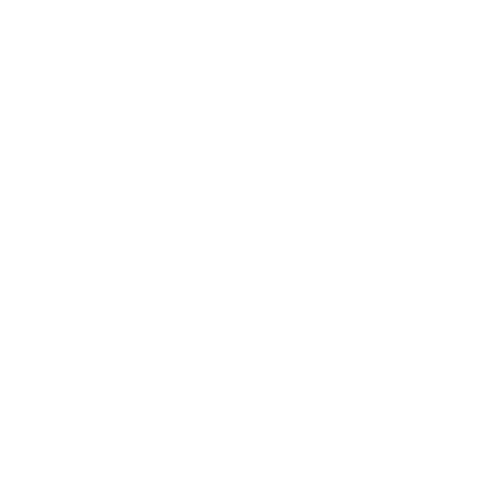 Skoda Service Logo