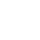 Skoda Service Logo